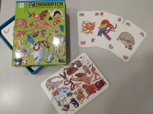 Zanimatch